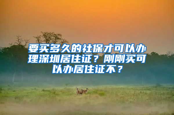 要买多久的社保才可以办理深圳居住证？刚刚买可以办居住证不？