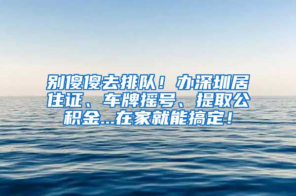 别傻傻去排队！办深圳居住证、车牌摇号、提取公积金...在家就能搞定！