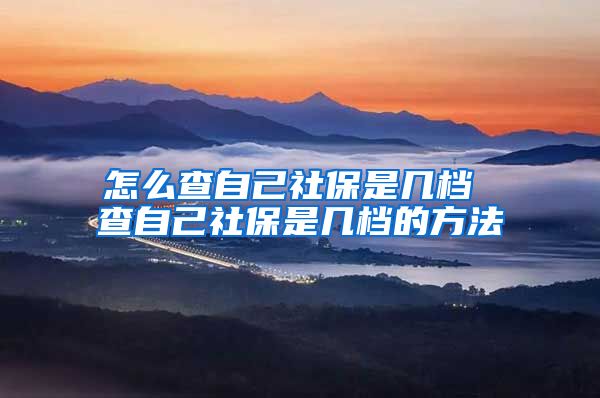 怎么查自己社保是几档 查自己社保是几档的方法