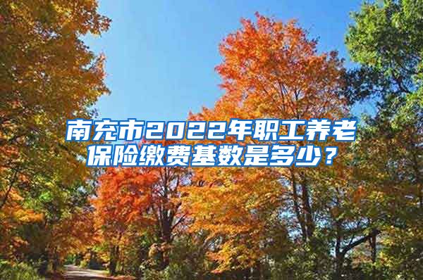 南充市2022年职工养老保险缴费基数是多少？