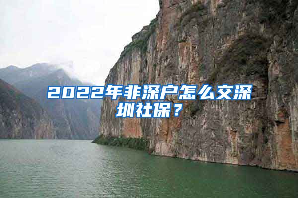 2022年非深户怎么交深圳社保？