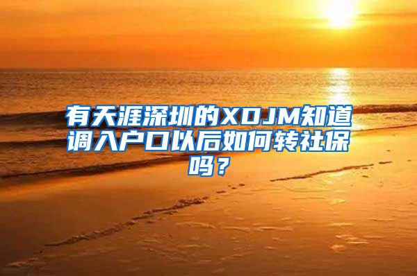 有天涯深圳的XDJM知道调入户口以后如何转社保吗？