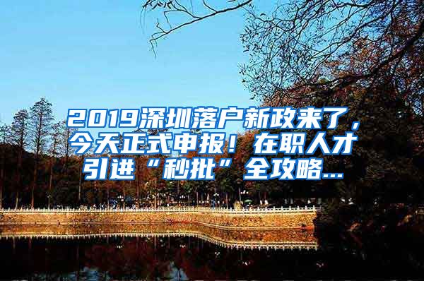 2019深圳落户新政来了，今天正式申报！在职人才引进“秒批”全攻略...