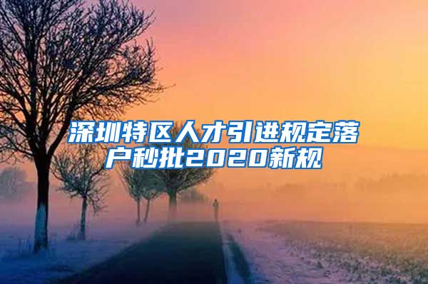 深圳特区人才引进规定落户秒批2020新规