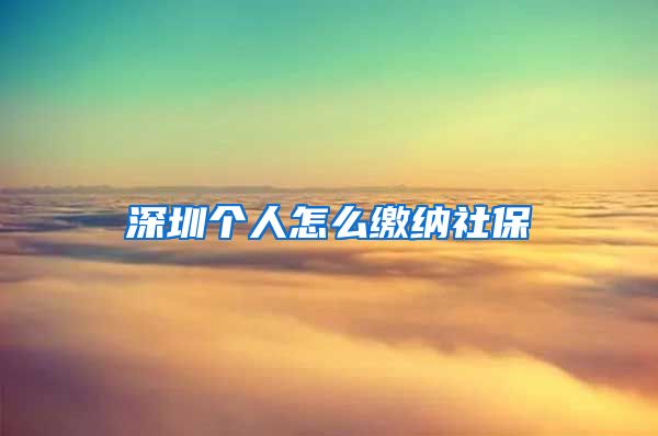 深圳个人怎么缴纳社保