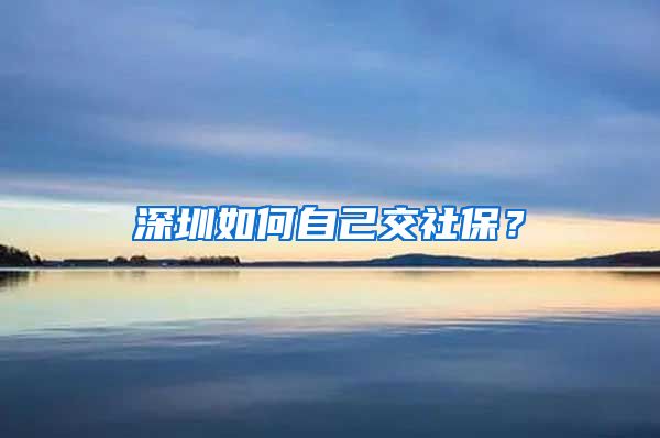 深圳如何自己交社保？