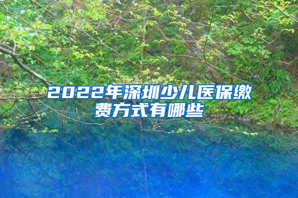 2022年深圳少儿医保缴费方式有哪些