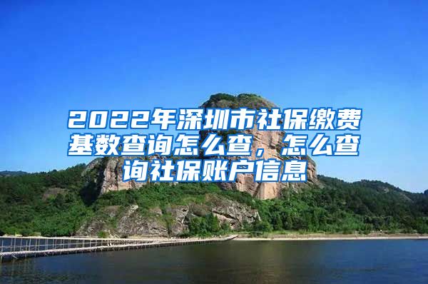 2022年深圳市社保缴费基数查询怎么查，怎么查询社保账户信息