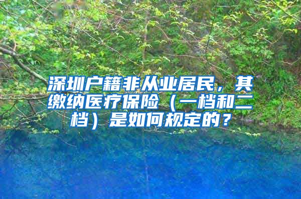 深圳户籍非从业居民，其缴纳医疗保险（一档和二档）是如何规定的？