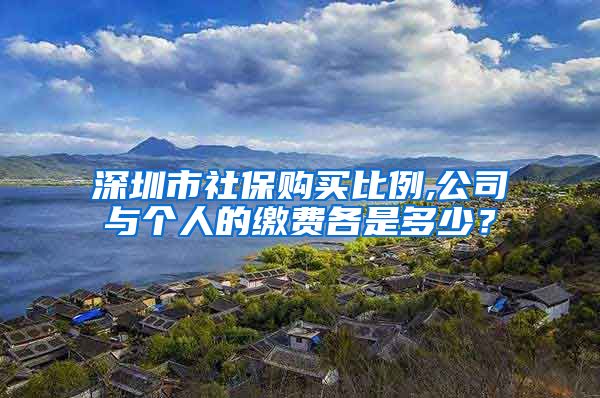 深圳市社保购买比例,公司与个人的缴费各是多少？