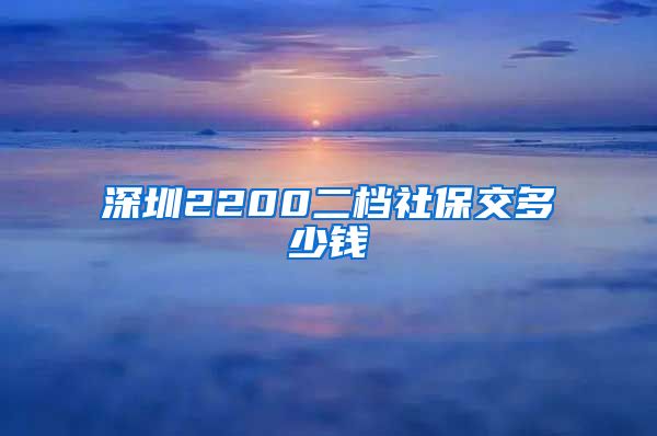 深圳2200二档社保交多少钱