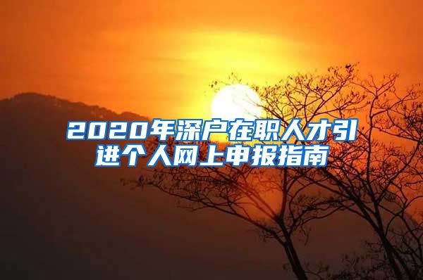 2020年深户在职人才引进个人网上申报指南