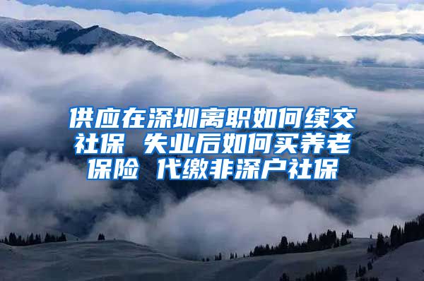 供应在深圳离职如何续交社保 失业后如何买养老保险 代缴非深户社保