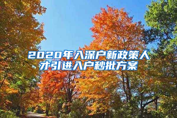 2020年入深户新政策人才引进入户秒批方案