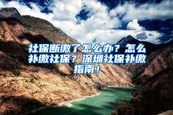 社保断缴了怎么办？怎么补缴社保？深圳社保补缴指南！