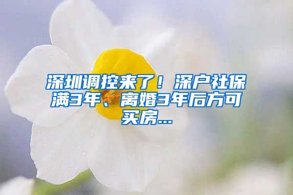 深圳调控来了！深户社保满3年、离婚3年后方可买房...