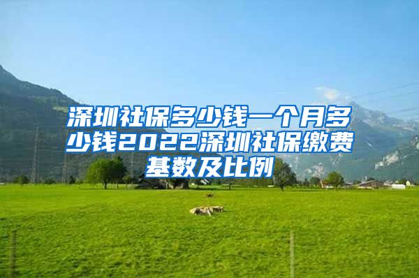 深圳社保多少钱一个月多少钱2022深圳社保缴费基数及比例