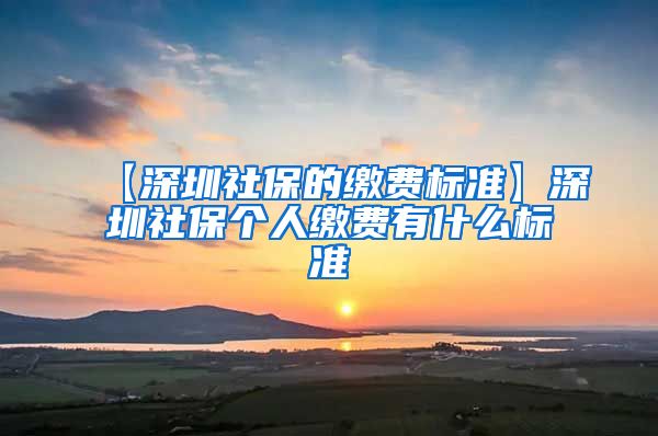 【深圳社保的缴费标准】深圳社保个人缴费有什么标准