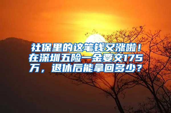 社保里的这笔钱又涨啦！在深圳五险一金要交175万，退休后能拿回多少？