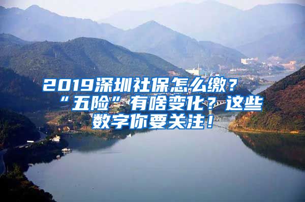 2019深圳社保怎么缴？“五险”有啥变化？这些数字你要关注！