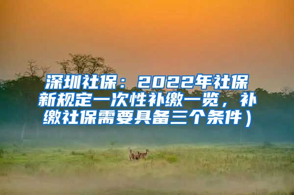 深圳社保：2022年社保新规定一次性补缴一览，补缴社保需要具备三个条件）