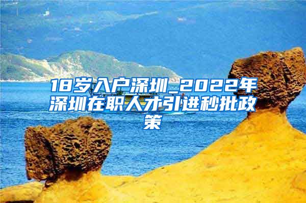 18岁入户深圳_2022年深圳在职人才引进秒批政策