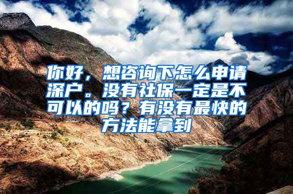 你好，想咨询下怎么申请深户。没有社保一定是不可以的吗？有没有最快的方法能拿到