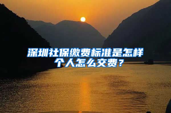 深圳社保缴费标准是怎样 个人怎么交费？