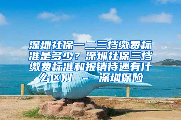 深圳社保一二三档缴费标准是多少？深圳社保三档缴费标准和报销待遇有什么区别 – 深圳保险