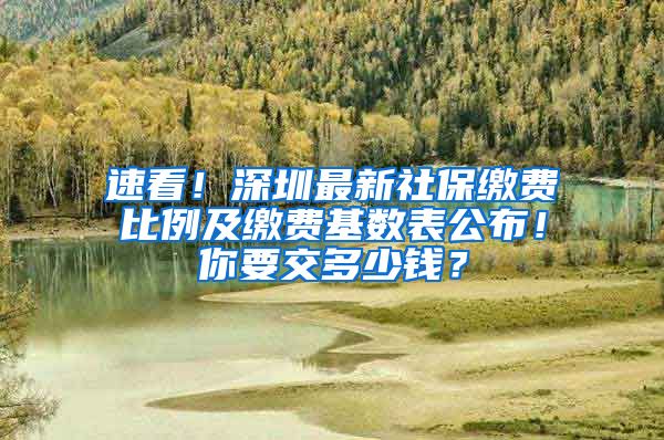 速看！深圳最新社保缴费比例及缴费基数表公布！你要交多少钱？