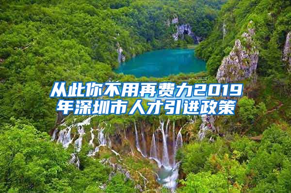 从此你不用再费力2019年深圳市人才引进政策