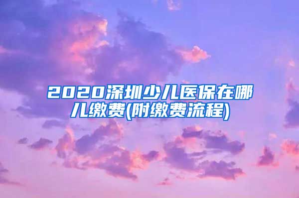 2020深圳少儿医保在哪儿缴费(附缴费流程)