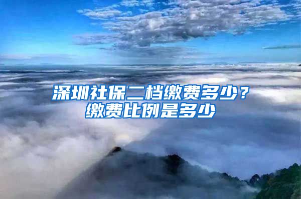 深圳社保二档缴费多少？缴费比例是多少