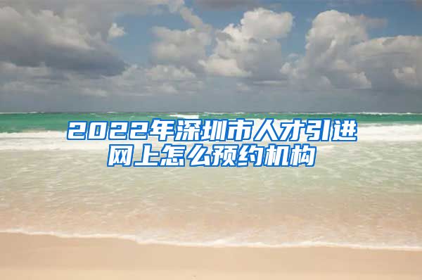 2022年深圳市人才引进网上怎么预约机构