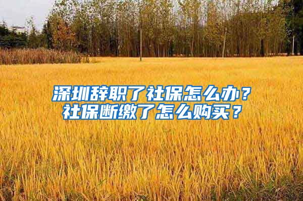 深圳辞职了社保怎么办？社保断缴了怎么购买？