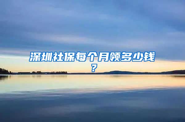 深圳社保每个月领多少钱？