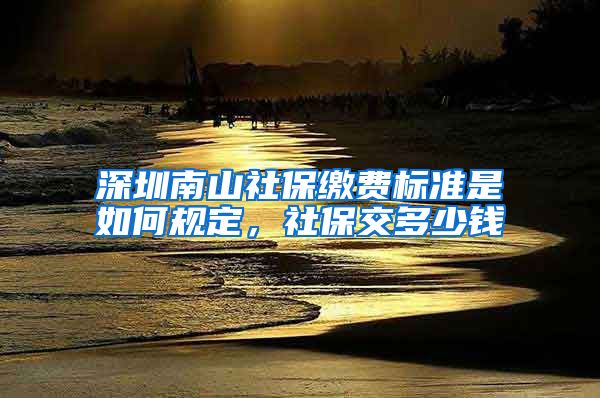 深圳南山社保缴费标准是如何规定，社保交多少钱