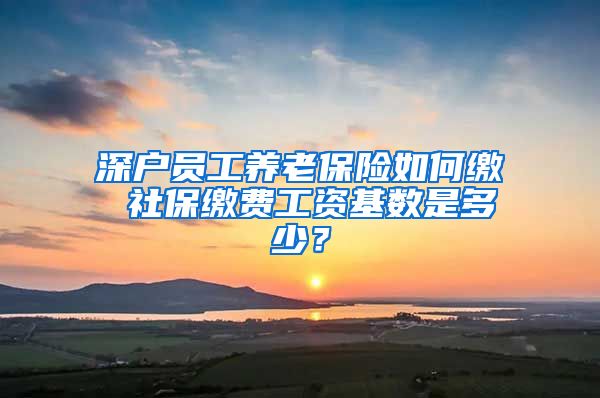 深户员工养老保险如何缴 社保缴费工资基数是多少？