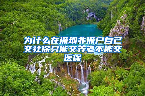 为什么在深圳非深户自己交社保只能交养老不能交医保