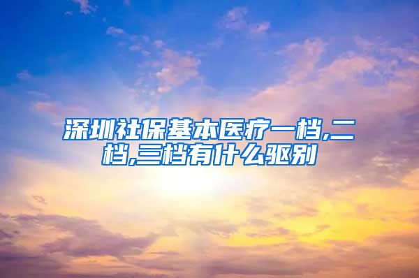 深圳社保基本医疗一档,二档,三档有什么驱别