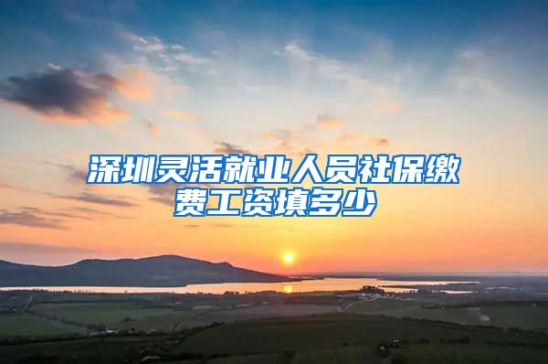 深圳灵活就业人员社保缴费工资填多少