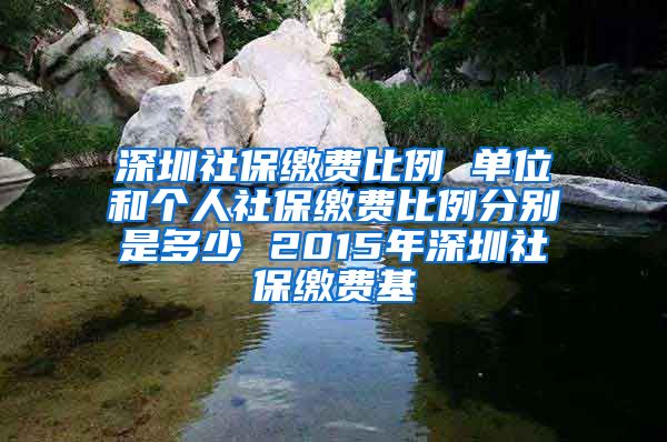 深圳社保缴费比例 单位和个人社保缴费比例分别是多少 2015年深圳社保缴费基