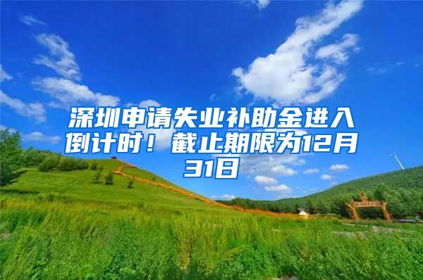 深圳申请失业补助金进入倒计时！截止期限为12月31日