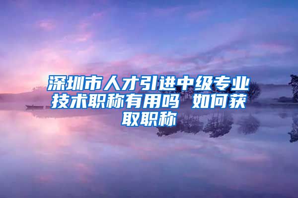 深圳市人才引进中级专业技术职称有用吗 如何获取职称