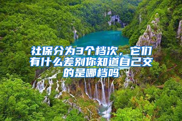 社保分为3个档次，它们有什么差别你知道自己交的是哪档吗