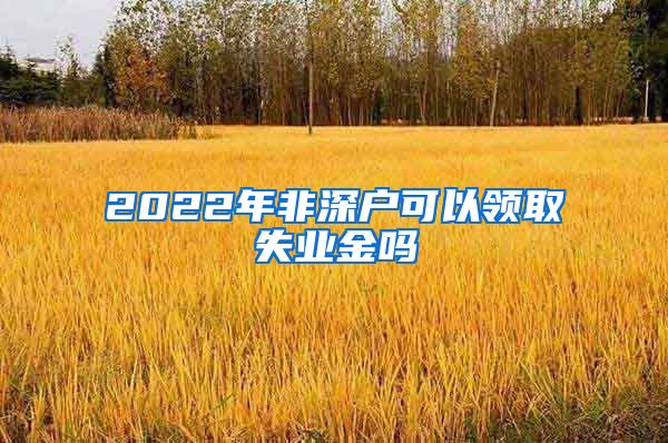 2022年非深户可以领取失业金吗