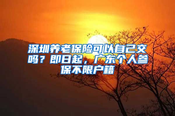 深圳养老保险可以自己交吗？即日起，广东个人参保不限户籍