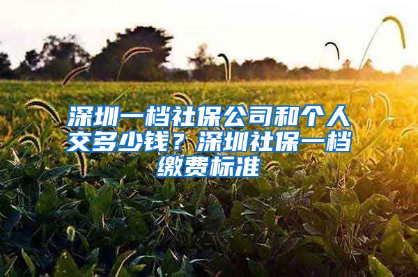 深圳一档社保公司和个人交多少钱？深圳社保一档缴费标准