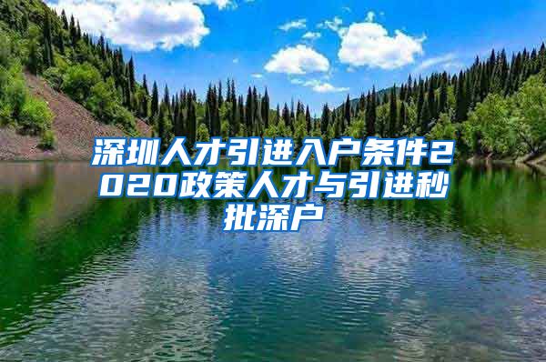 深圳人才引进入户条件2020政策人才与引进秒批深户