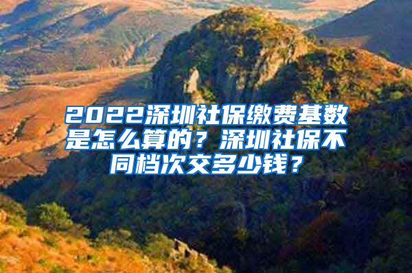 2022深圳社保缴费基数是怎么算的？深圳社保不同档次交多少钱？